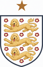 Load image into Gallery viewer, Dogs Football Shirt
