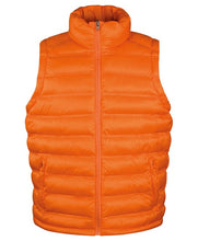 Load image into Gallery viewer, Result Ice Bird Padded Gilet
