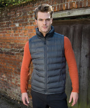 Load image into Gallery viewer, Result Ice Bird Padded Gilet
